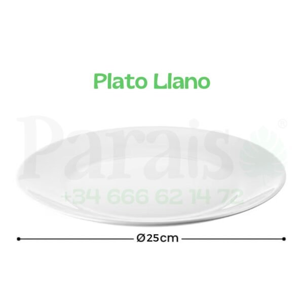 Alquiler Plato Llano🍽️