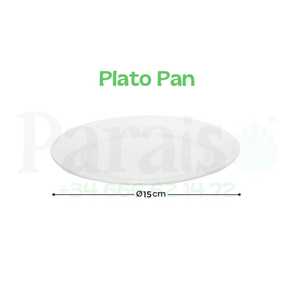 Alquiler Plato para Pan🍞