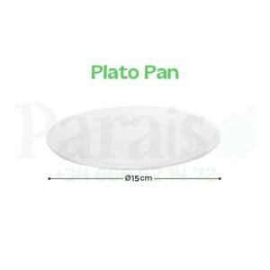 Alquiler Plato para Pan🍞