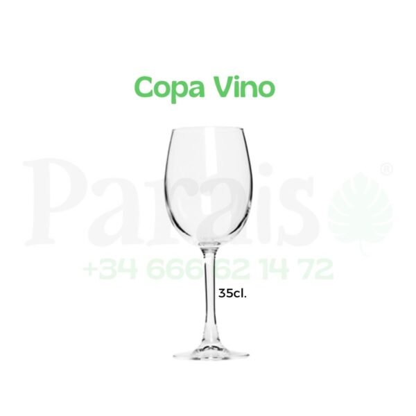 Alquiler Copa para Vino 🍷