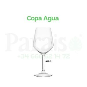 Alquiler Copa para Agua 💧