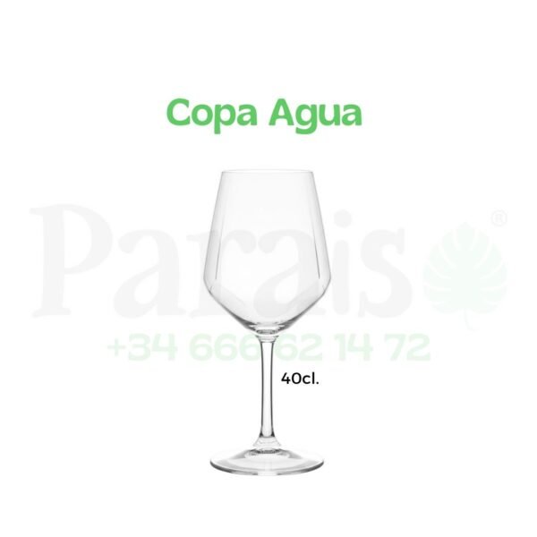 Alquiler Copa para Agua 💧