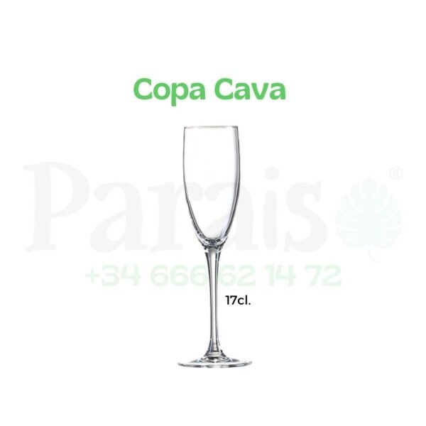 Alquiler Copa Cava 🥂