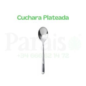 Alquiler Cuchara Plateada🥣