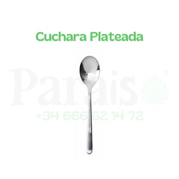 Alquiler Cuchara Plateada🥣