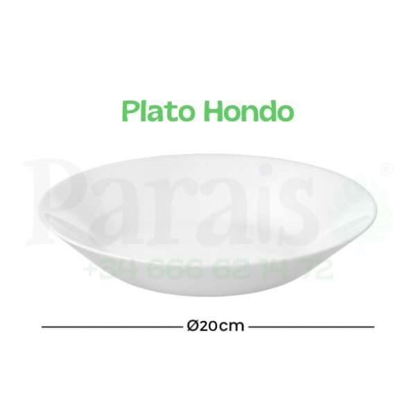 Alquiler Plato Hondo